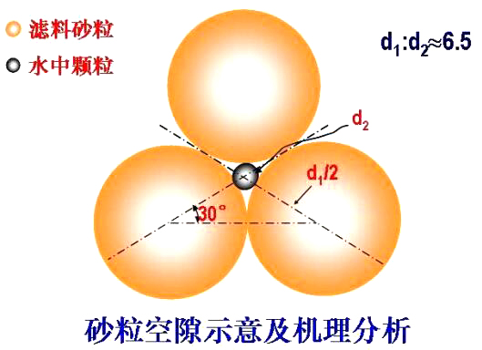 砂?？障妒疽饧皺C(jī)理分析